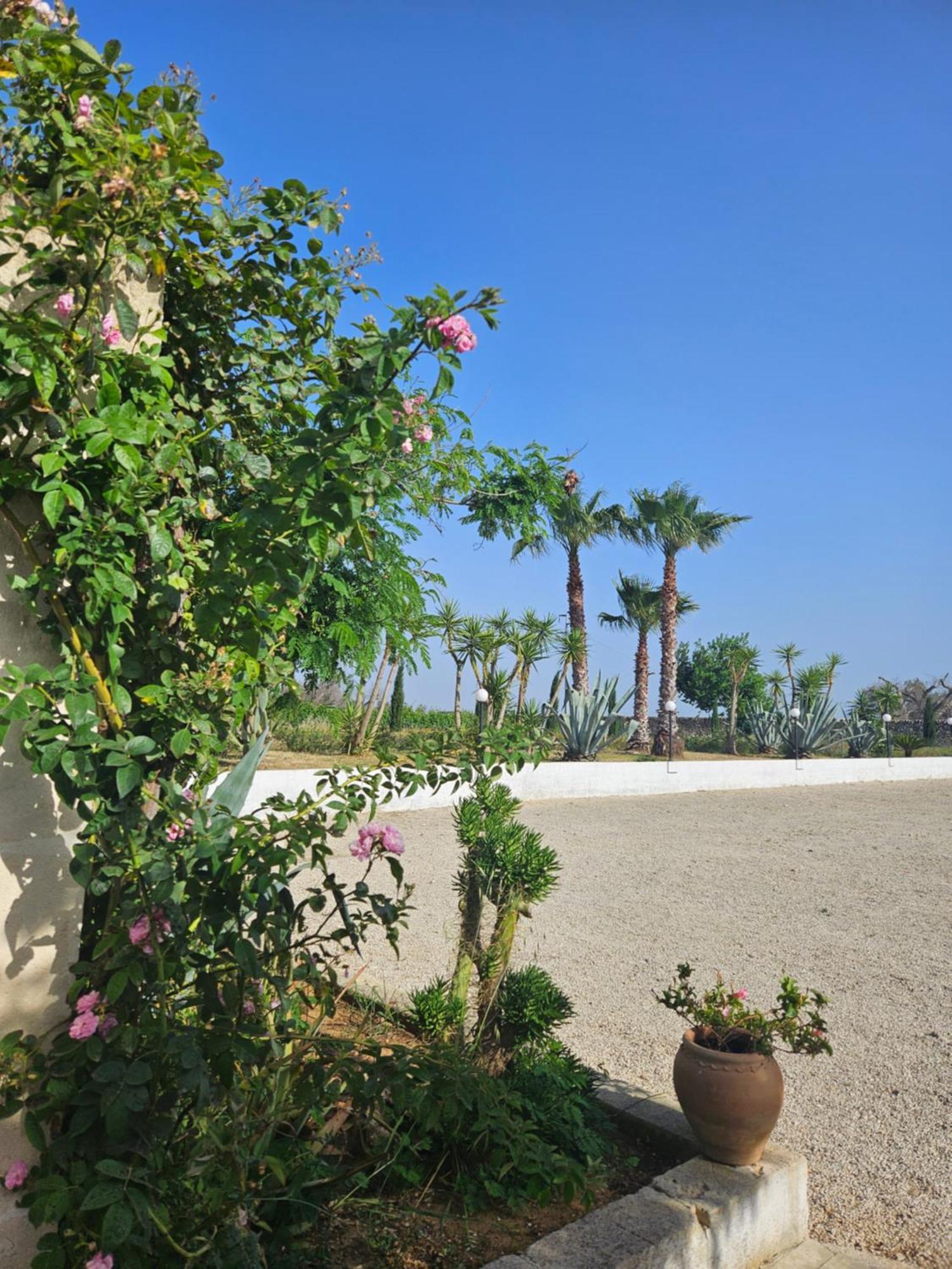 Antica Masseria Torre Mozza Torre Santa Susanna Exterior photo